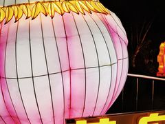-武汉园博园(武汉自然博物馆)
