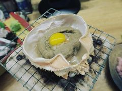 -鰓呼吸 石垣島 美崎町店