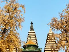 -北京石刻艺术博物馆(五塔寺)