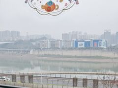 -李子坝梁山鸡(李子坝大鸡哥店)