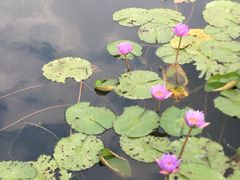 -牛岗山公园