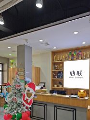 -心联形象设计·流星染