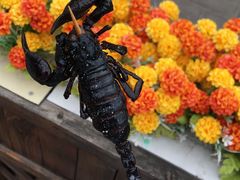 -王府井步行街