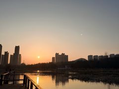 -前关湿地公园