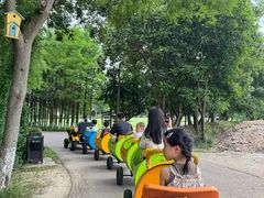 -乌村