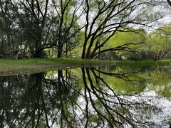 -上海共青森林公园