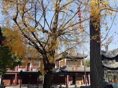-上海青龙寺