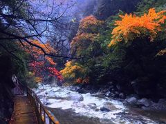 -青峰峡国家森林公园