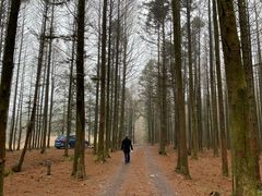 -山王坪喀斯特国家生态公园