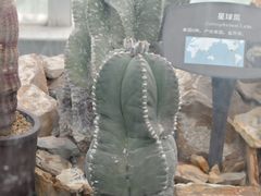 -黑龙江省森林植物园
