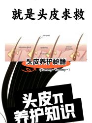 -Bollins波林丝•专研护发中心