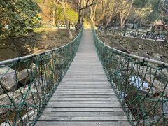 -宁波五龙潭景区