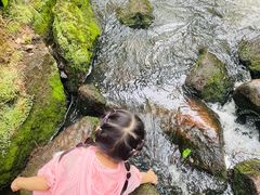 -汤旺河林海奇石景区