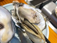 -九道菜有鸡鱼头(石鼓路店)