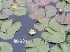 -茅家埠