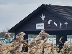 -盐城丹顶鹤湿地生态旅游区