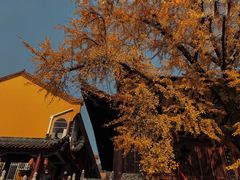 -宝通禅寺