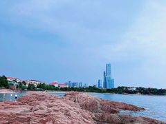 -八大关景区