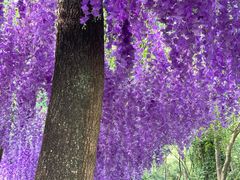 -宝晶宫旅游景区