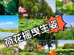 -东郊湿地公园