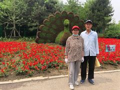 -长白岛森林公园