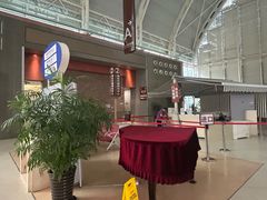 -上海市第一人民医院(松江南部)