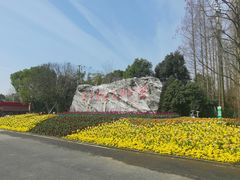 -东平国家森林公园