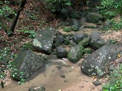 -火炉山森林公园