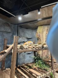 -Zoolung Zoolung动物主题公园(海信广场店)