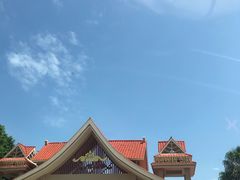 -大湾区中央湿地公园-十九涌