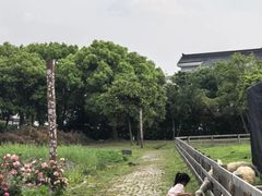 -鹅湖玫瑰文化园