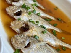 -华盛丰温州大排档(东三环南路店)