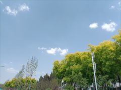 -山东理工大学
