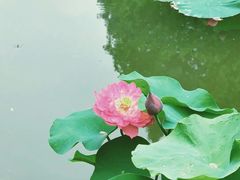 -朝阳公园