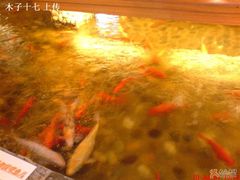 鱼儿鱼儿向我游-松子料理(亮马桥店)