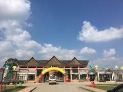 -上海都市菜园
