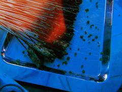 -贰麻酒馆(1912店)