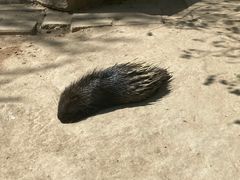 -青藏高原野生动物园