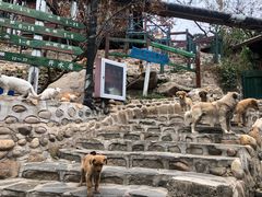 -北京水岸山吧度假村(雁栖镇店)