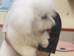 -艾贝尔宠物医院 ·内科全科(梁溪路店)