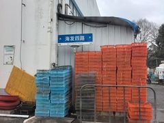 -上海龙吴水胜海发市场