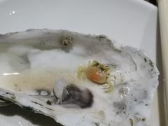 -虾宝贝胶东海鲜·渔家菜(小西天店)