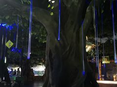 -重庆欢乐海底世界