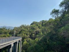 -金鸡山公园