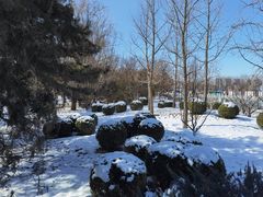 -元大都城垣遗址公园