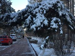 -长春宾馆·丽豪浴都