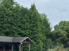 -溱湖国家湿地公园