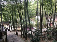 -江南天池高山汤泉城
