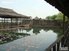 -东湖落雁景区