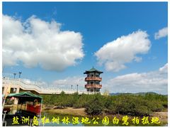 -盐洲岛